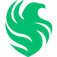 টিম ফ্যালকনস ভেগা